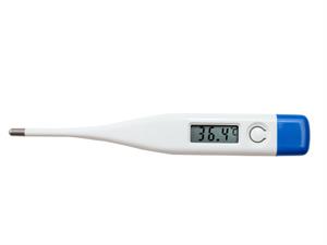 shutterstock_597363305.jpg