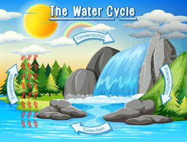 watercycle.jpg