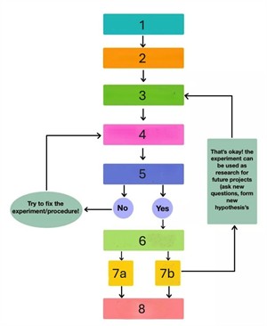 scientific-method-steps-explained-for-kids_1024x1024boxed.jpg