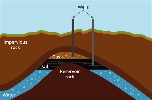 YCIND_230223_5039_CBSE 8th_10.png