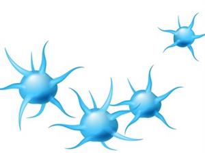 Screenshot 2021-04-23 124832.jpg