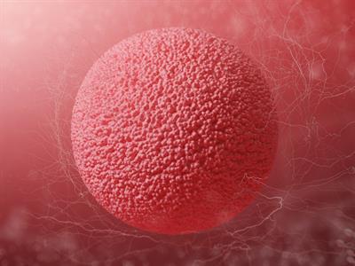 shutterstock_1198319950 (1).jpg