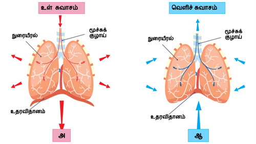 Design - YC IND (29).png