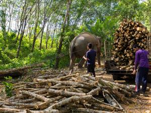 Stephane Bidouze Shutterstock.jpg