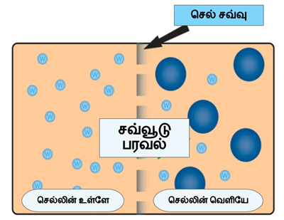 Design - YC IND (36).png