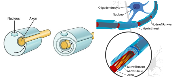 BeFunky-collage (5).png