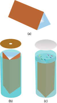 YCIND_230224_5053_Light_CBSE 8th_3_15.png