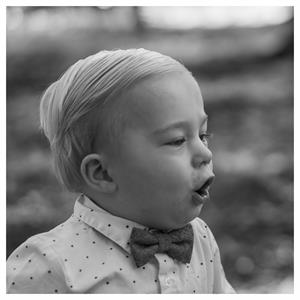 fire useful collage (1).jpg